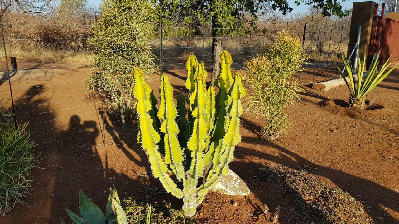 Hornbills Rest Country Home Phalaborwa Exterior foto