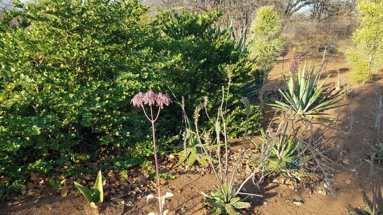 Hornbills Rest Country Home Phalaborwa Exterior foto
